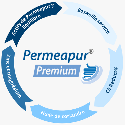 Permeapur® Premium, une formule experte, développée pour accompagner les situations digestives exigeantes et la fragilisation persistante de la barrière intestinale.